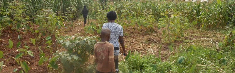 Helping with the family farm